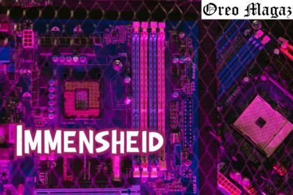 Immensheid