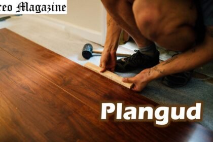 Plangud