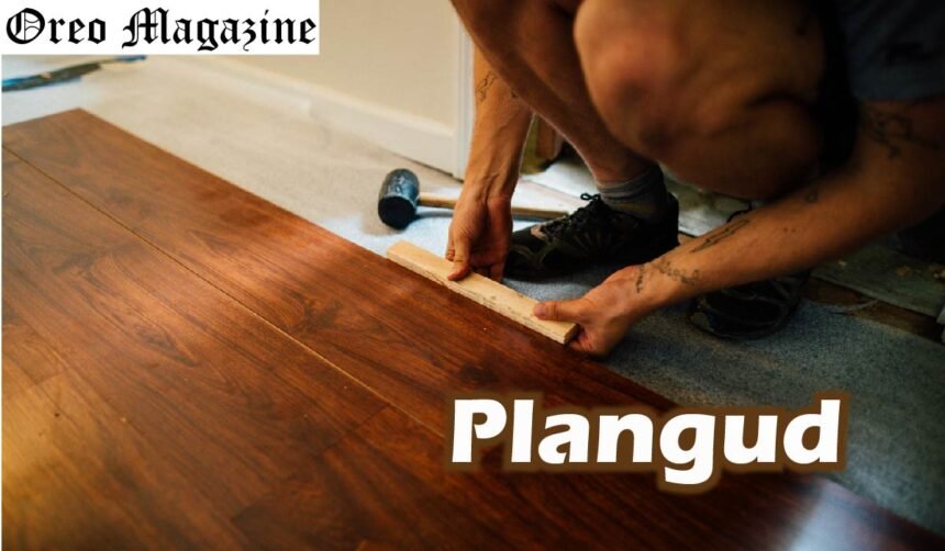 Plangud